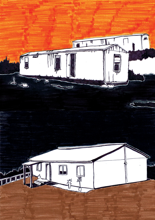   2005 -   ,   
